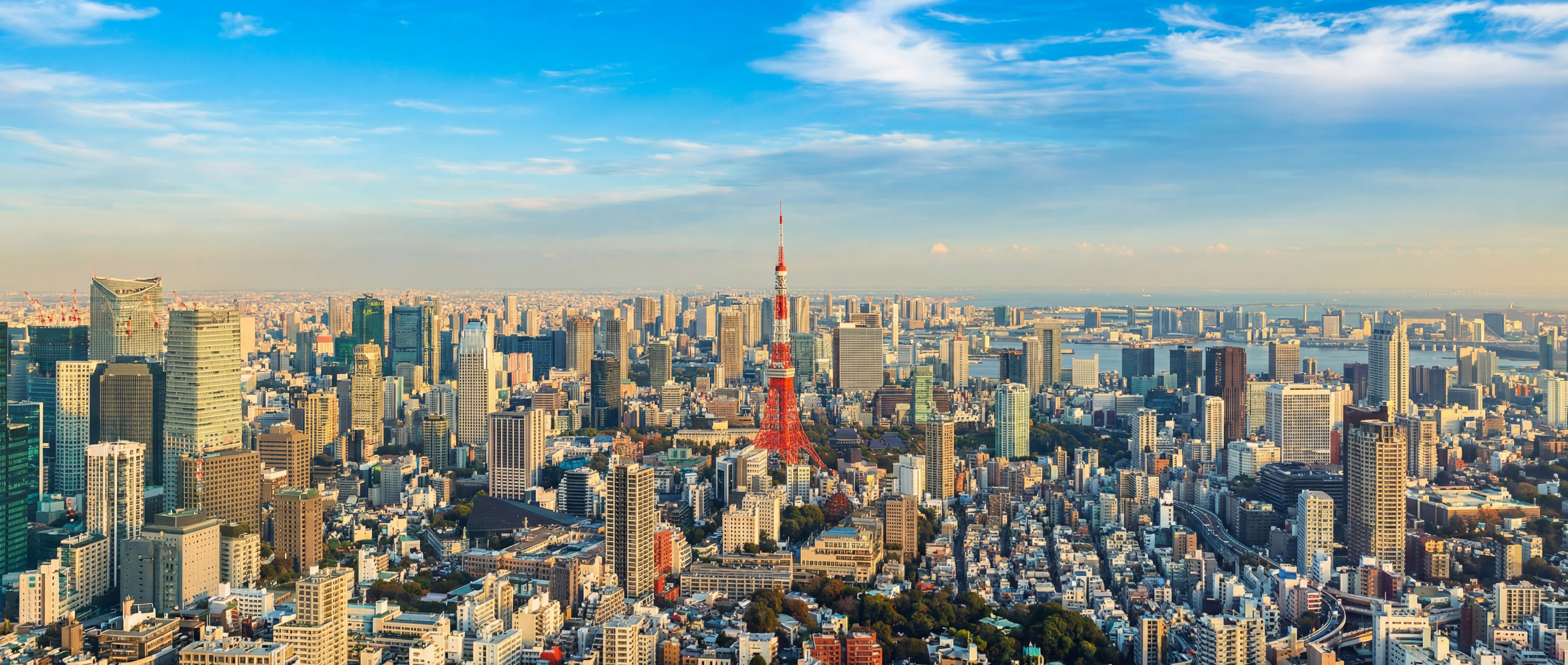 ホーミングライフのイメージ画像